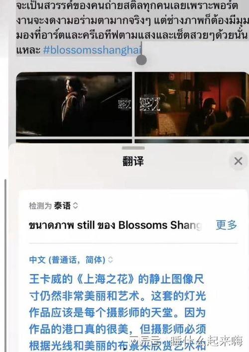 外网爆料魏继英视频,揭秘背后惊人真相  第1张