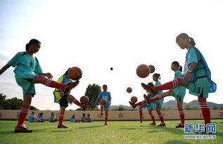 足球梦在线观看  第1张